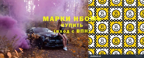 хмурый Алзамай