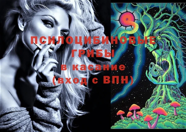 винт Алексин