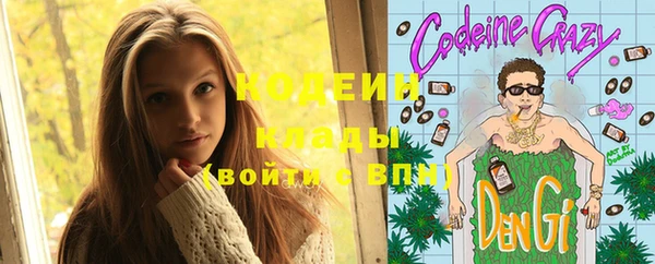 дживик Абаза