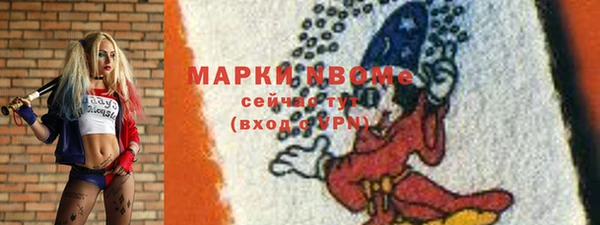 хмурый Алзамай